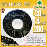 เอิร์นนี่ ท่อเกษตร PE LDPE 20มิล 4บาร์ 4หุน 200เมตร (คาดเหลือง) ท่อพีอี PE PIPE LDPE ทนแรงดัน 4บาร์ ความแข็งแรง ทนทานการกัดกร่อน ไม่กรอบแตกง่าย KERRY