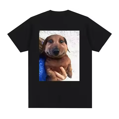 Dingo Ahh Funny Dog Meme T-shirt, Suitable for All A Lighthearted and Humorous Survey T-shirt Top Gr
