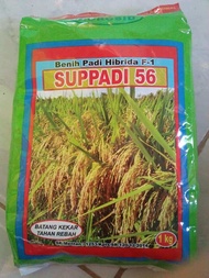 Benih Padi HIBRIDA SUPPADI 56 ORI & ASLI