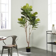 170cm Realistic Faux Fiddle Leaf Fig - Maintenance-Free Artificial Plant, Office & Meeting Room Deco