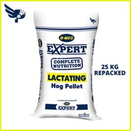 ✟  ◿ ❂ B-MEG Expert Complete Nutrition Lactating Hog Pellet 25KG - Pig - BMEG Feeds - petpoultryph