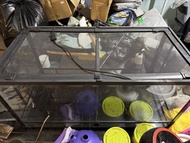 玻璃爬蟲飼養箱 爬箱 玻璃缸