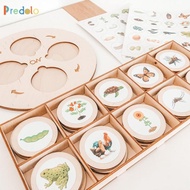 predolo Montessori Life Cycle Tray Growth Stage School Project Puzzles Animal Growth Cycle Education