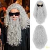 Long Gray Hobbit Wizard Wig Beard Set - Cosplay Costume for Theatrical Events