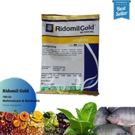 promo Fungisida Ridomil Gold Syngenta