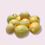 Jeruk lemon lokal fresh 1kg