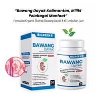 [ ORIGINAL ] - Bawang Dayak Kalimantan by Bigreen