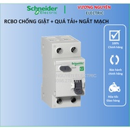 Rcbo 2P 30mA 4.5kA CB Anti-Shock Schneider 1 Phase 2P Anti-Shock aptomat 10A 16A 20A 25A 32A 40A - Vuong Nguyen Electric