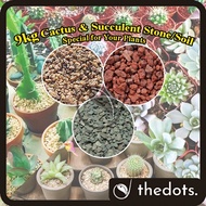 9 KG CACTUS AND SUCCULENT STONE SOIL SPECIAL FOR ALL TYPES SUCCULENTS PLANTS