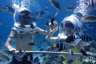 Bali Water Sport: Parasailing - Sea Walker -Jet Ski - Fly Board
