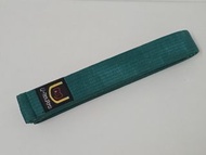 跆拳道 Taekwondo 空手道 Karate 柔道 Judo 腰帶 色帶 綠帶 Green Belt