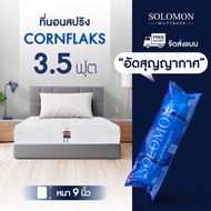 Solomon Spring Mattress, 9 Inches Thick, Cornflaks Model, Comes with a Hotel-Grade Support Pillow. 3