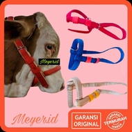 [COD] HEAD HALTER SAPI ,KAMBING + TALI TUNTUNAN / PENUNTUN....  BRANGUS SAPI / IKAT KEPALA SAPI / BR
