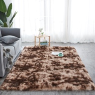 Fluffy Karpet Floor Carpet Plush Rug Soft Velvet Mat Home Decor 40x60CM 80x120CM 120x160CM 160x200CM