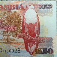 Zambia- 贊比亞紙幣K50(UNC)--直版