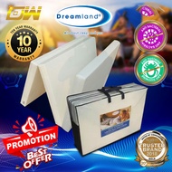 [FREE GIFT 1 X RM99 T-SHIRT] DREAMLAND Premium Solid Single Size Rebond Foam Foldable Mattress / Sin