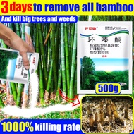 🔥【Strong destructive power】3 days to remove all Bamboo racun buluh 1000%killing rate And kill big tr