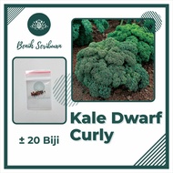 BENIH 20 Benih Kale Green Dwarf Curly Bibit Sayuran Blue Scotch Curled Tanaman Sayur Dataran Rendah