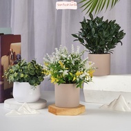 ITRUMPET False Plant Pot, Evergreen Plastic Plant Artificial Plant Bonsai, Mini Fake Flower Bonsai P