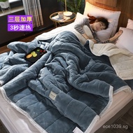 Thickened Warm Blanket Nap Blanket Autumn Winter Lamb Wool Blanket Shan Lamb Wool Flannel Blanket Fl