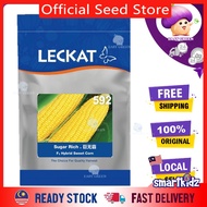 LECKAT 592 JAGUNG SWEET CORN F1 SEED SEEDS BIJI BENIH 500G 玉蜀泰 玉米 种子 GWG FATIMAH G9966 906 907 908 5