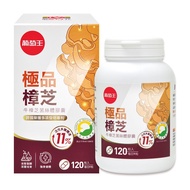 【葡萄王】極品樟芝菌絲體膠囊 120粒/瓶 (牛樟芝菌絲體 活性多醣體達11%)