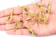 fishing soft shrimp balt lures 10pcs$35 腥味仿真草蝦仿生假蝦10隻盒裝 5cm 1.4g 淡水路亞魚餌軟餌