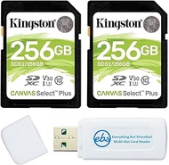 Kingston Canvas Select Plus 256GB SD Memory Card for Camera (2 Pack Bundle) SDXC Card Class 10 UHS-1 U3 100MB/s Read Speed (SDS2/256GB) Bundle with (1) Everything But Stromboli SD &amp; Micro Card Reader