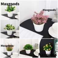 MAXGOODS Artificial Plant Bonsai, Evergreen Plastic Plant False Plant Pot, Simulation Fake Flower Bo