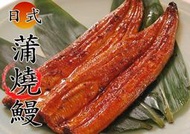 【日式 蒲燒鰻 鰻魚 白鰻 315g】外銷日本等級 加熱即食 營養美味『集鮮家』