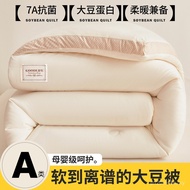 Kuilt Serat Kacang Soya Kelas A Bersalin Teras Kuilt Musim Bunga dan Musim Luruh Dua-dalam-Satu Kuil