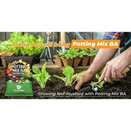 Potting Mix BA || Mocminigarden
