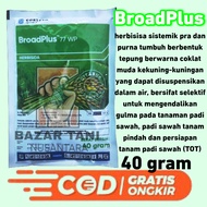 Herbisida dupont ally plus broadplus 77 wp