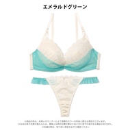 DRW Bra Underwear Thong Set~70C 75B75C Japanese Brand Embroidery Comfortable
