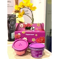 CNY Cookies Set Tupperware Offer