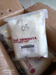 benih kecambah sawit jenis Sriwijaya 5