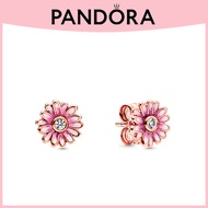 Pandora 925 Sterling Silver Ladies Stud Earrings 14K Rose Gold Plated Pink Daisy Flower Stud Earrings