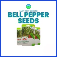 ▨ ┻ ◨ Bell pepper Seeds Sultan F1  100 seeds