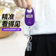 Precise Portable Electronic Scale 25kg Household Portable Spring Scale Shopping Mini Scale Small Sca
