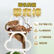 [Yuanyou] Eyelash Climbing Magnetic Hanging Cloud Shape 3D Printing Stick Gecko Enriched Fresh Cute 