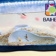 BAIHEE Aquarium Decoration Tunnel Caves, Under Gravel Tunnel Curve Aquarium Underground Tunnel Cave,