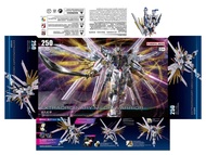 HG 1/144 Mighty Strike Freedom (250) [DuiJue]