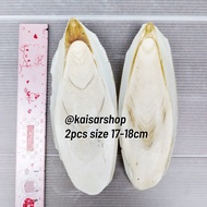 2pcs size 17-18cm Cuttlefish Bone Calcium Squid Shell Cuttlefish Bone Natural Nutrition Export Quali