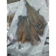 Ikan keli Salai (bendang)