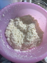 milk kefir grains 20g