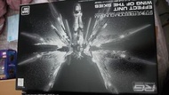 Rg strike freedom gundam effect unit 光翼