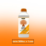 ป้องกัน และกำจัดเชื้อราในนาข้าว G6MAX