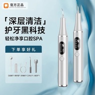 Ultrasonic Tooth Calculus Remover Electric Toothbrush Tartar Stain Remover for Bad Breath