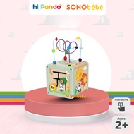 Hi Pando Play Cube Wooden 5 in 1 Montessori - Children's Activity Cube - Educational Motor Toys (HP0