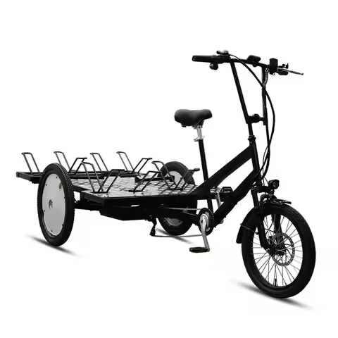 F20 R19 inch e-cargo Transport Goods 500W motor electric 3 wheel with bike stand tricycles flatbed c